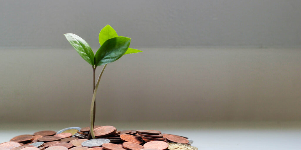Startup funding: What is the difference between pre-seed and seed investment?