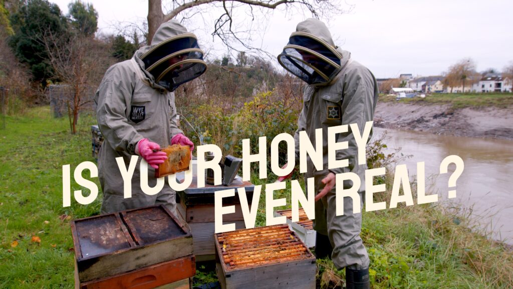 Harleys Global YouTube series lifts the lid on fake honey