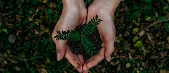 Sustainability is at the heart of Bristol Creatives and as a community we should constantly strive to innovate and provide eco-friendly employee benefits.