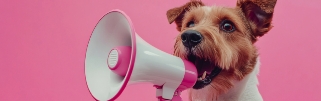 Struggling to shout about your small business? You're not alone.